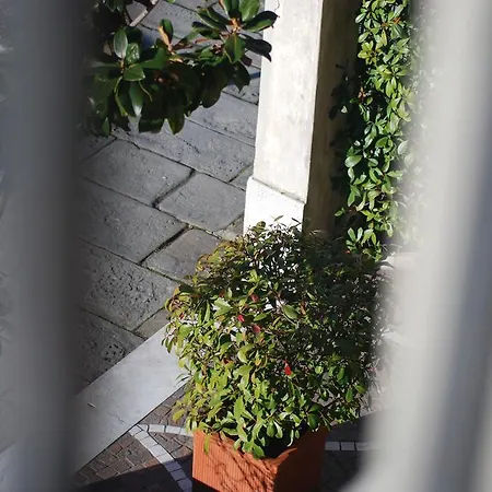 Hotel Ariston Pisa